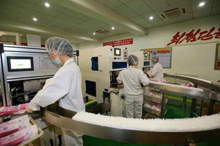 樂浪工廠展新顏 質(zhì)量優(yōu)良的個(gè)人衛(wèi)生用品獲贊譽(yù)